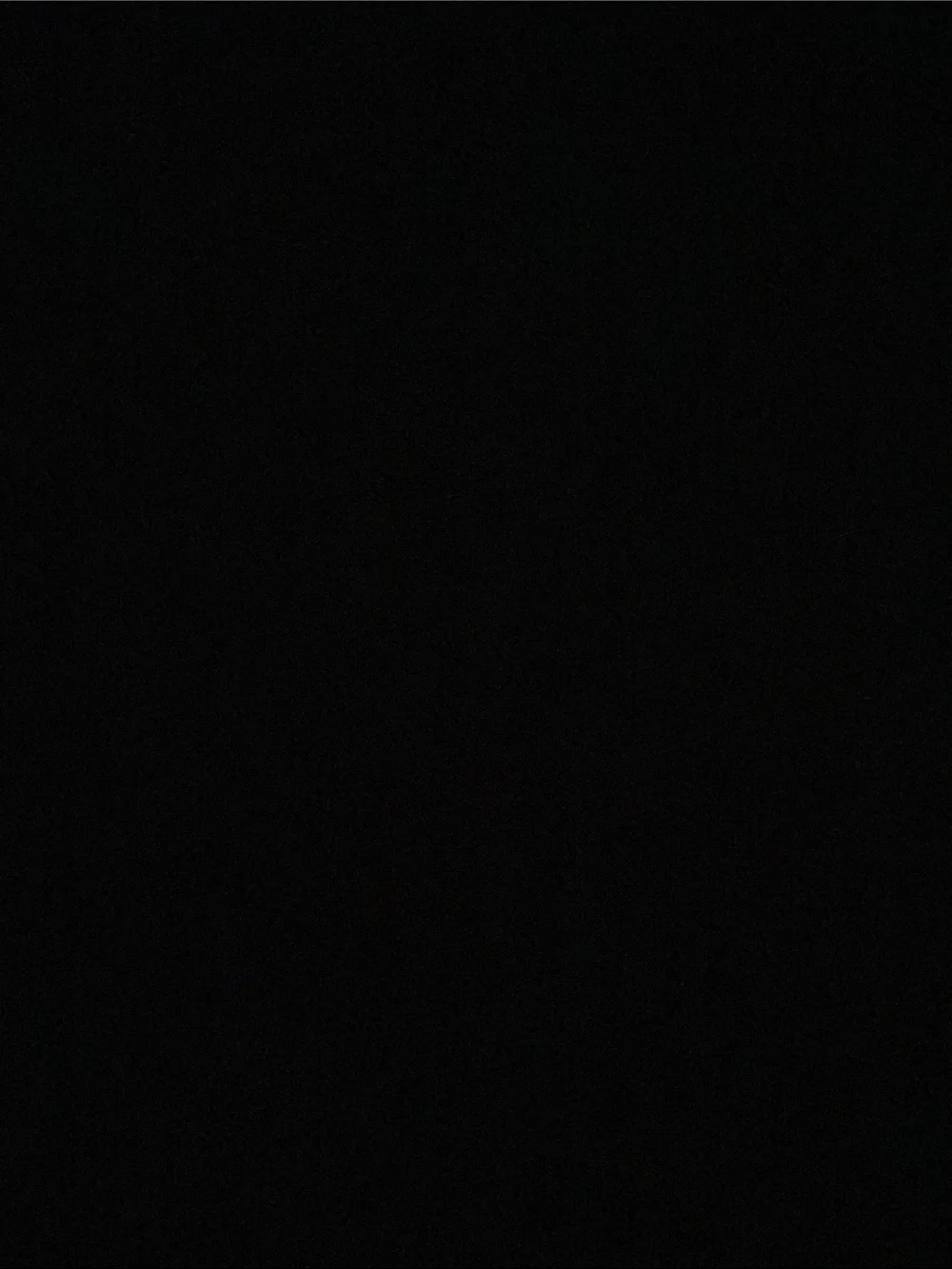 Google pixel 9 pro xl official google